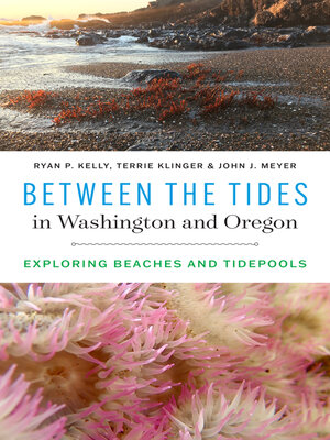 cover image of Between the Tides in Washington and Oregon
